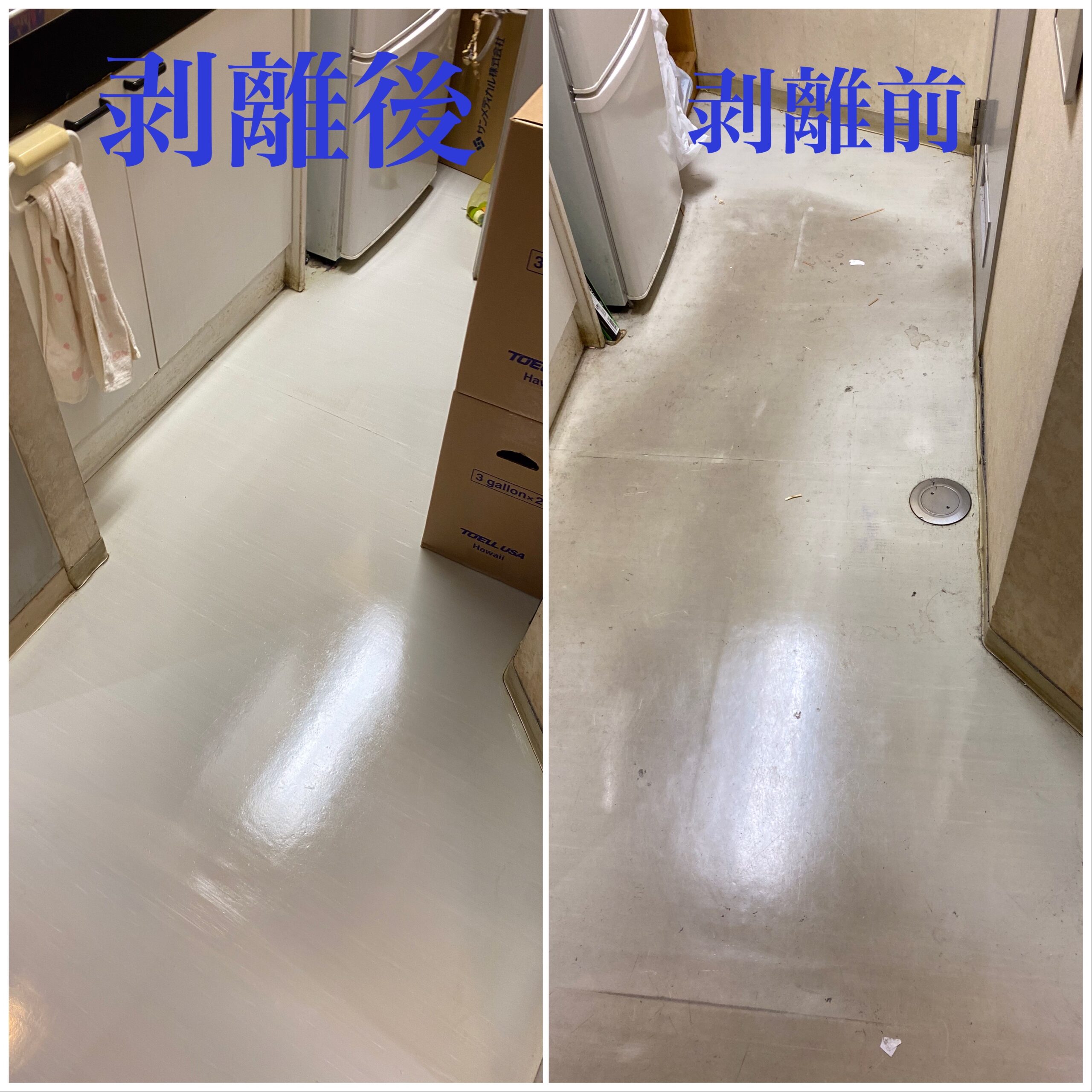 剥離前後の比較